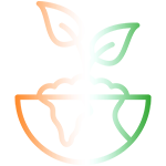 Eco-Friendly Materials